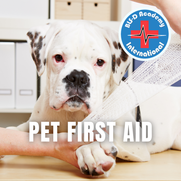 z2_Pet First Aid