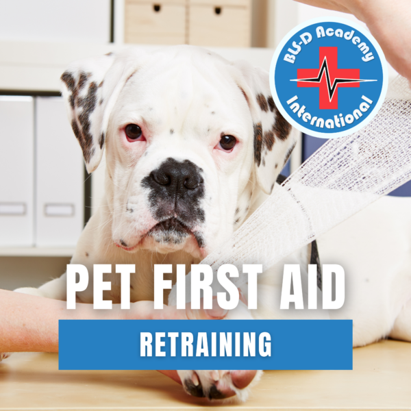 z3_Pet First Aid retraining