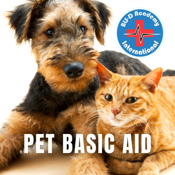 z1_Pet Basic Aid