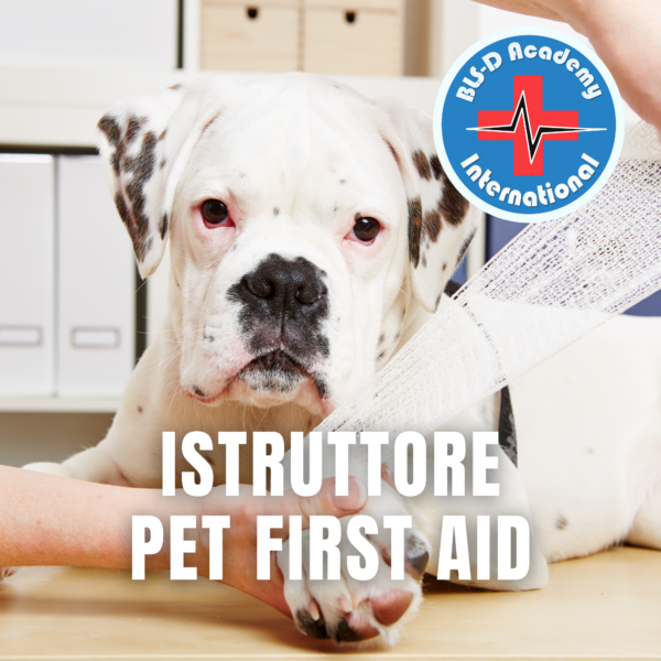 z2_Istruttore Pet First Aid