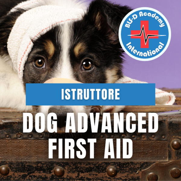 z3b_Istruttore DAFA - Dog Advanced First Aid