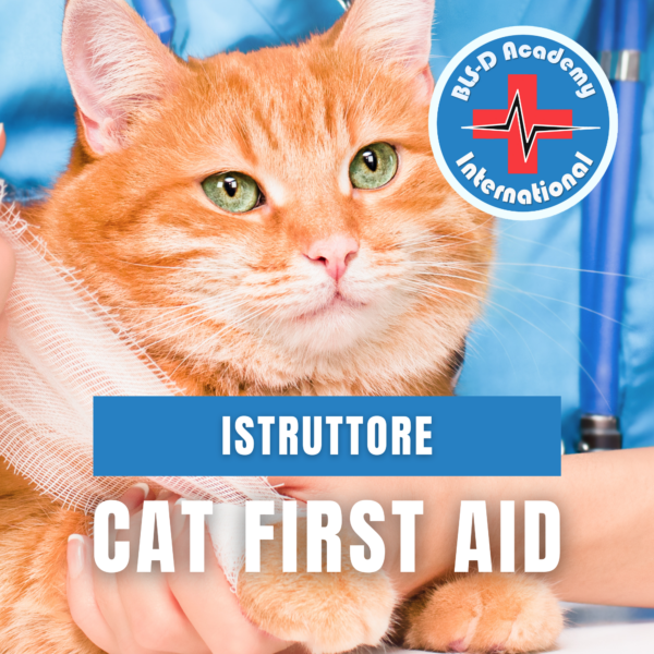 z4_Istruttore Cat First Aid