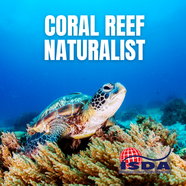 Coral Reef Naturalist