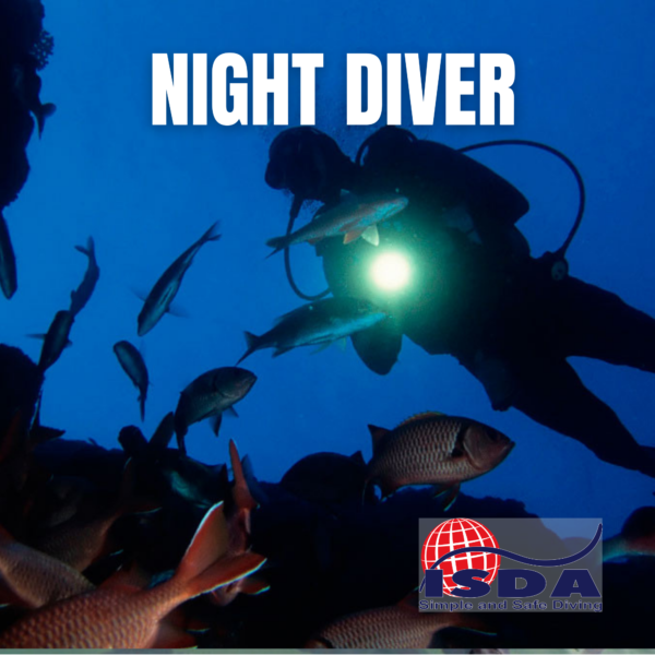 Night Diver