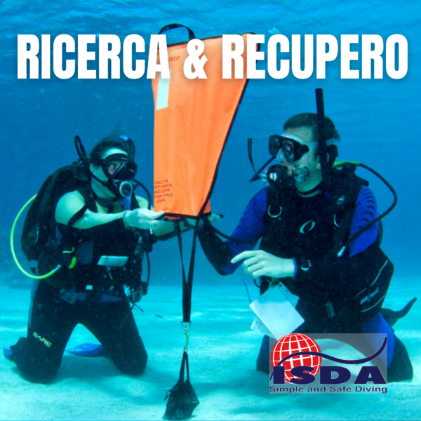 Ricerca e Recupero