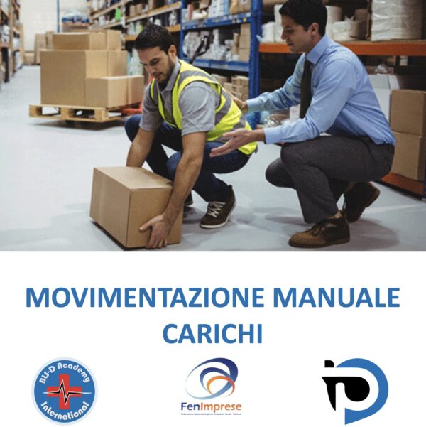 MOVIMENTAZIONE MANUALE CARICHI