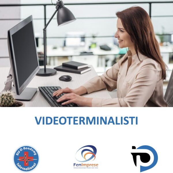 VIDEOTERMINALISTI