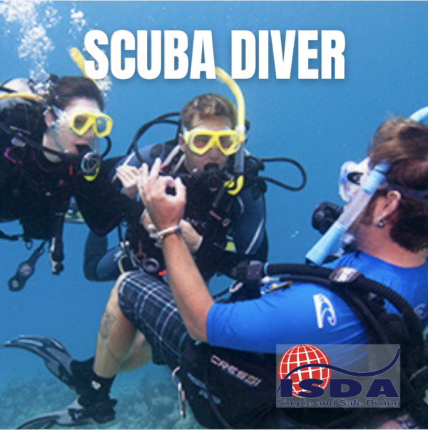 2_SCUBA DIVER