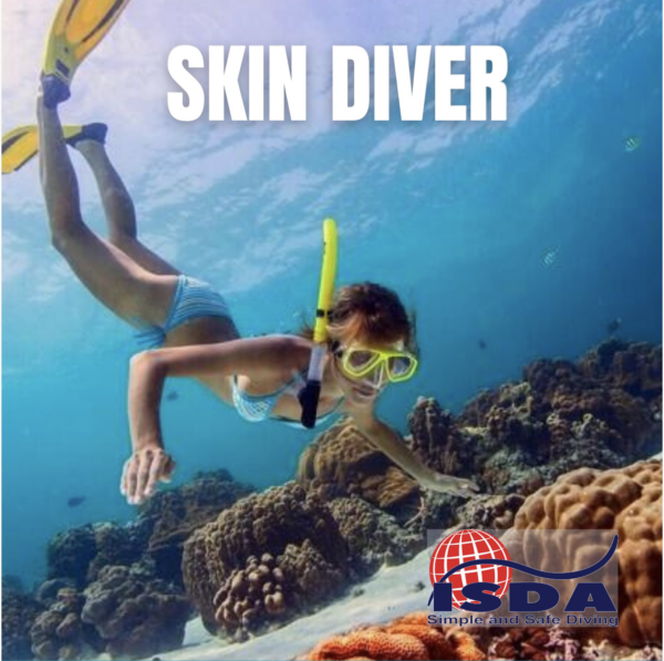 1a_SKIN DIVER